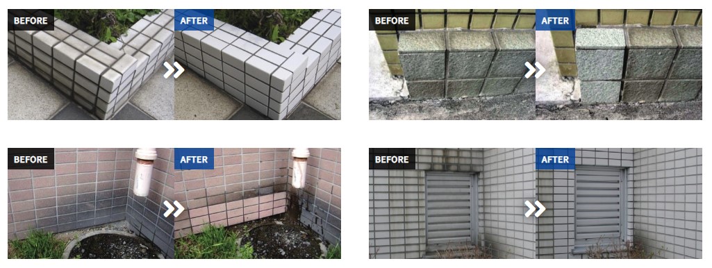 タイルクリーナー　TS-101　1kg【ビアンコジャパン】※返品・キャンセル不可