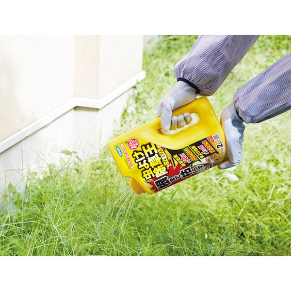 フマキラー　除草剤　根まで枯らす虫よけ除草王プレミアム　2L　（450019）【フマキラー（株）】