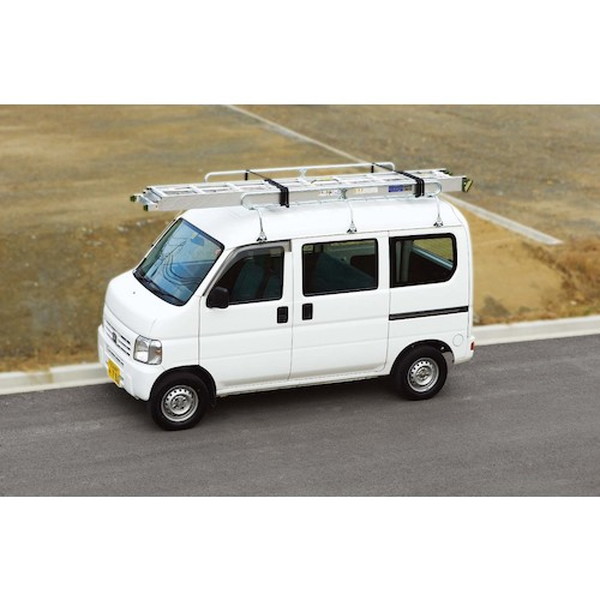 ハセガワ　アルミ製サヤ管式３連はしご　ＨＤ３型　９．８０ｍ　HD3-98b（10874）【長谷川工業（株）】※個人宅不可
