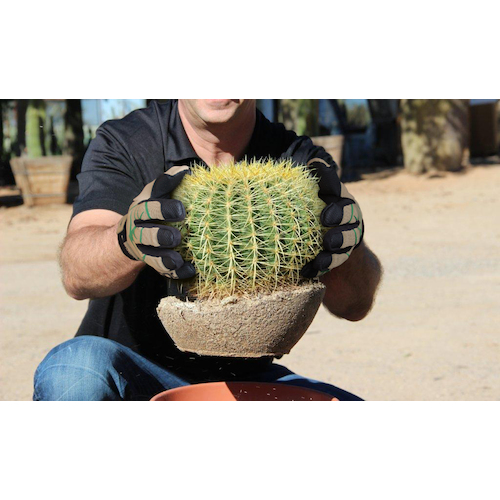 ＨＥＸ　ＡＲＭＯＲ　耐切創・耐針手袋　ＡＲＭＯＲ　ＴｈｏｒｎＡｒｍｏｒ　３０９２　Ｌ　（754209）835-9805【ＨｅｘＡｒｍｏｒ社】