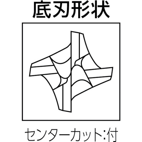 日立ツール　エポックＳＵＳマルチＥＰＳＭ４１００－３０－ＰＮ（EPSM4100-30-PN）424-2726 【（株）ＭＯＬＤＩＮＯ】
