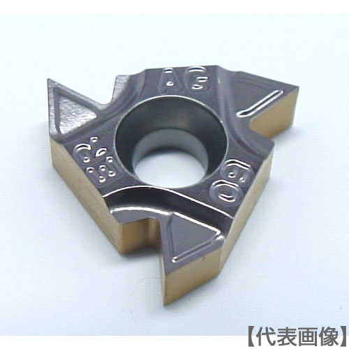 イスカル　Ｄ　ねじ切／チップ　ＣＯＡＴ（16ERM A 60）620-0931 【イスカルジャパン（株）】