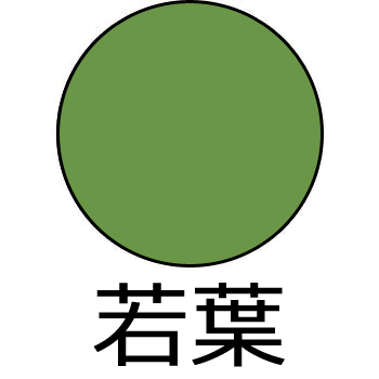 油性漆塗料 #83 若葉 0.5kg 2缶セット【カシュー】