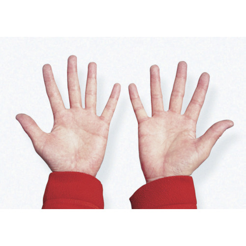 ＫＵＲＥ　ニュー　シトラスクリーン　ハンドクリーナー　１８．９２５Ｌ　No.2284【呉工業　KURE／クレ】