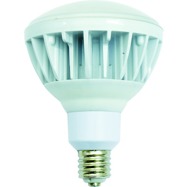 日動　投光器用ＬＥＤ交換球　ハイスペックエコビック４０Ｗ　Ｅ３９　昼白色　本体白　（L40V2J11050K）【日動工業（株）】※代引き決済不可