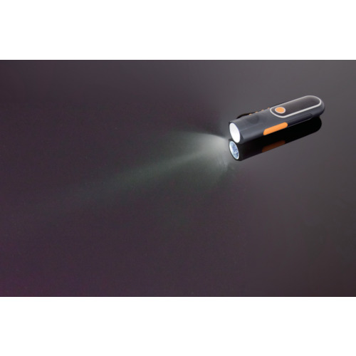 日動　自家発電ＬＥＤライト　手回し充電タイプ　ラジオ付　（LEH05WPG）【日動工業（株）】※代引き決済不可