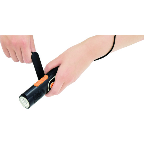 日動　自家発電ＬＥＤライト　手回し充電タイプ　ラジオ付　（LEH05WPG）【日動工業（株）】※代引き決済不可