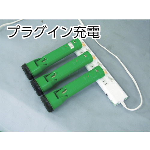 日動　ＬＥＤライト　プラグインライト　３Ｗ（PIL3W100V）※代引き決済不可