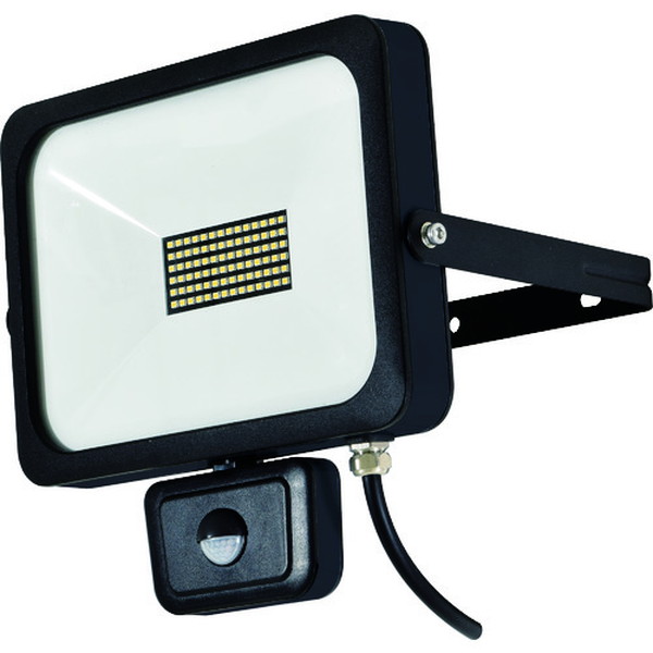 日動　ＬＥＤセンサーライト　フラットセンサーライト　５０Ｗ　屋外型　４５００Ｌｍ　（SLSF50W）【日動工業（株）】※代引き決済不可