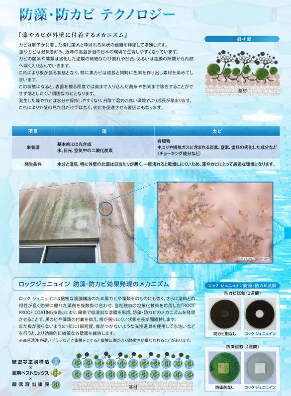 ロック ジェニュイン 艶有 ホワイト 222-0100 15kg【ロックペイント】