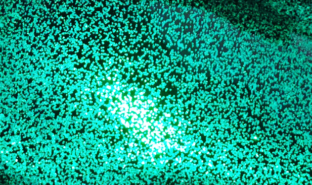 DIVA FLAKES グリーン　ミニ　ミニボトル(SFM119MN)　41g　粒子径0.2mm【SHOW UP】