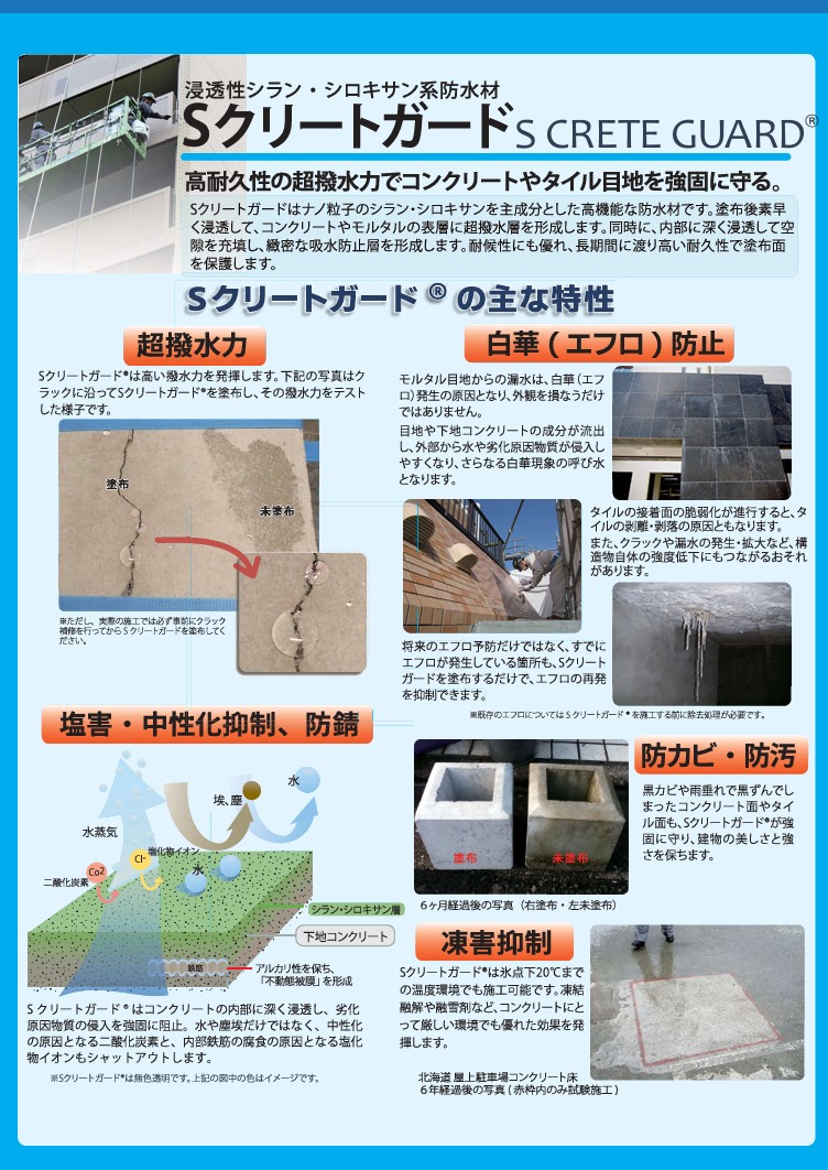 Sクリートガード 4L 1缶 【バークス環境】