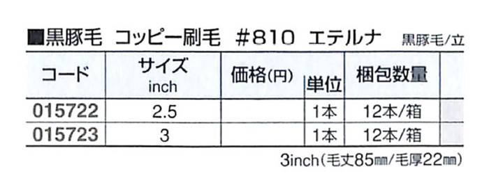好川産業 黒豚毛 コッピー刷毛 #810S エテルナ 黒豚毛 /立 2.5inch 1本【好川産業株式会社】